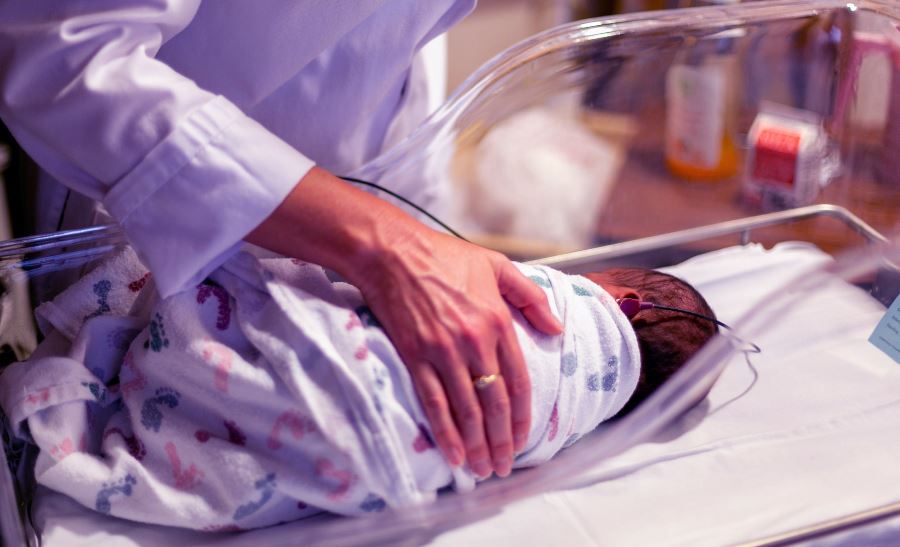 health insurance for newborn
