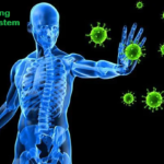 A Robust and Healthy Immune System